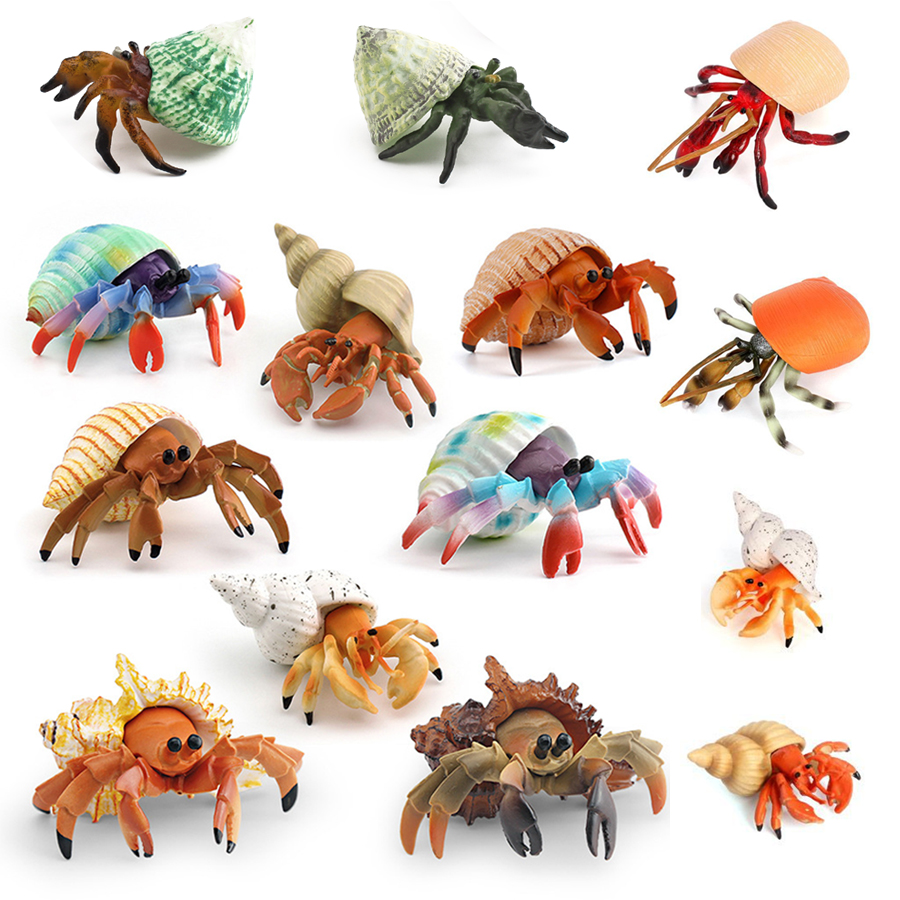 Kids No Education - Realistic Hermit Crab Figurine Durable PVC