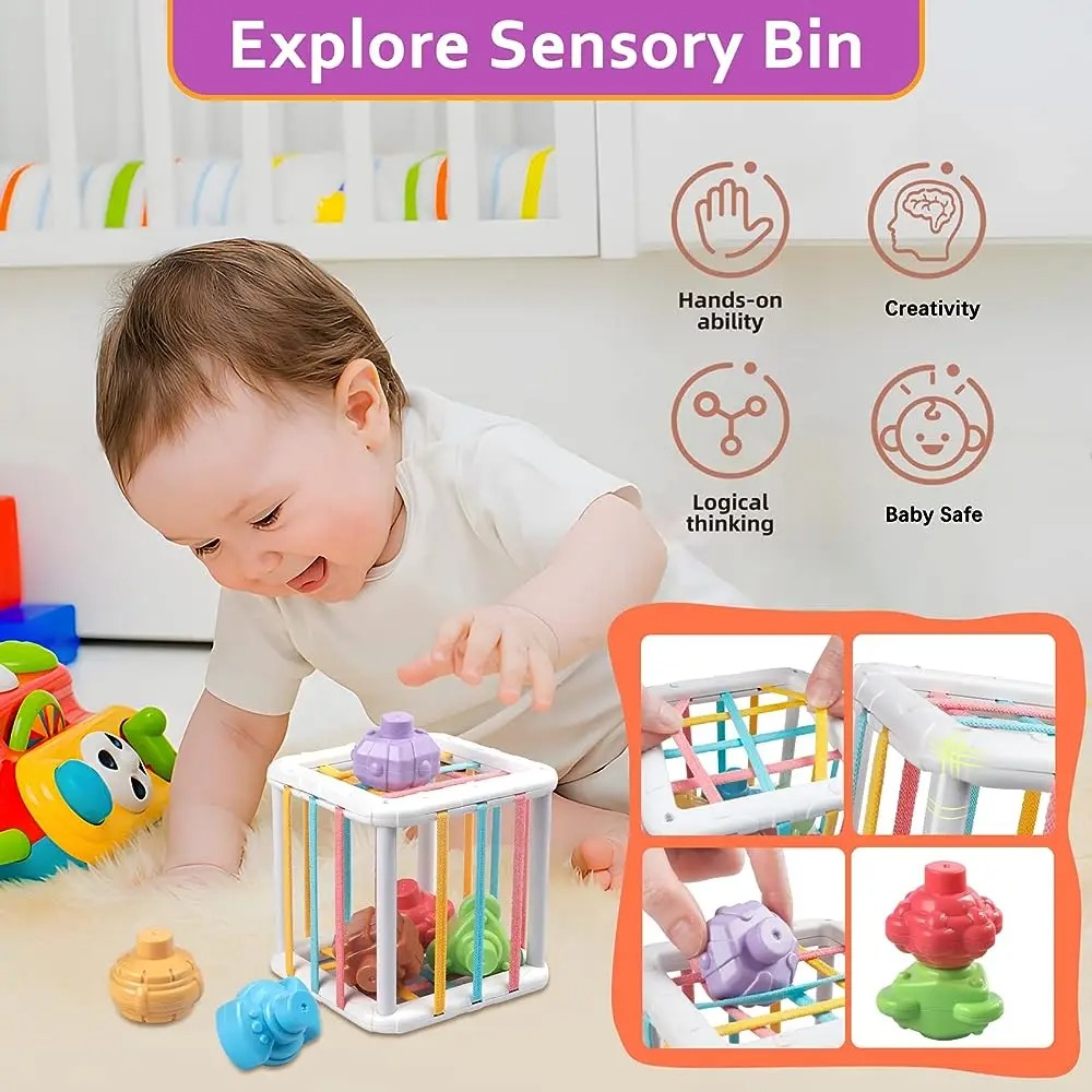 Rainbow Colorful Montessori Sh - đánh giá và giá Kids Education Learning