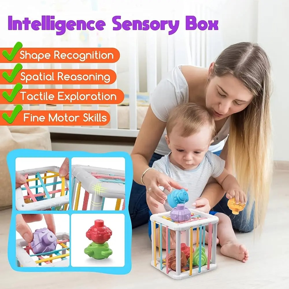 Rainbow Colorful Montessori Sh - đánh giá và giá Kids Education Learning