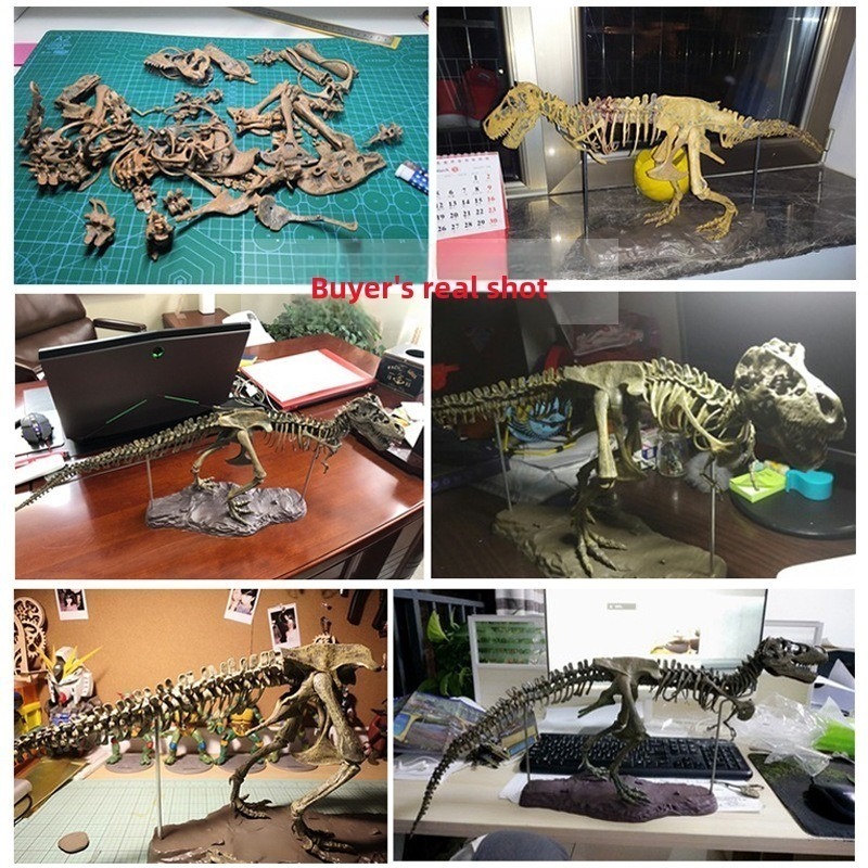Dinosaur Fossil Toy Tyrannosau - đánh giá và giá Kids Education Things