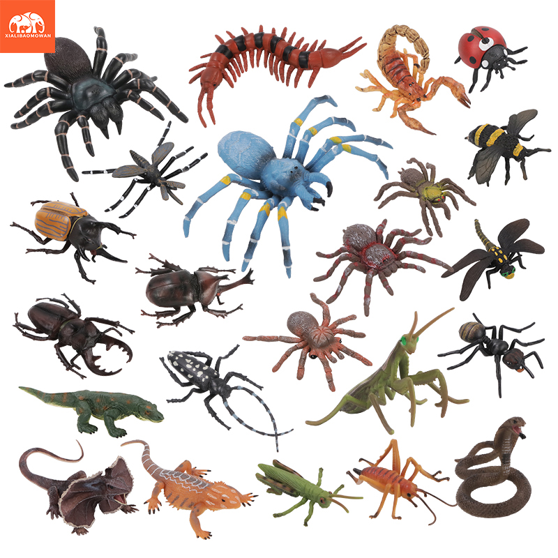 Educational Simulation Insect  - đánh giá và giá Kids Education Movies