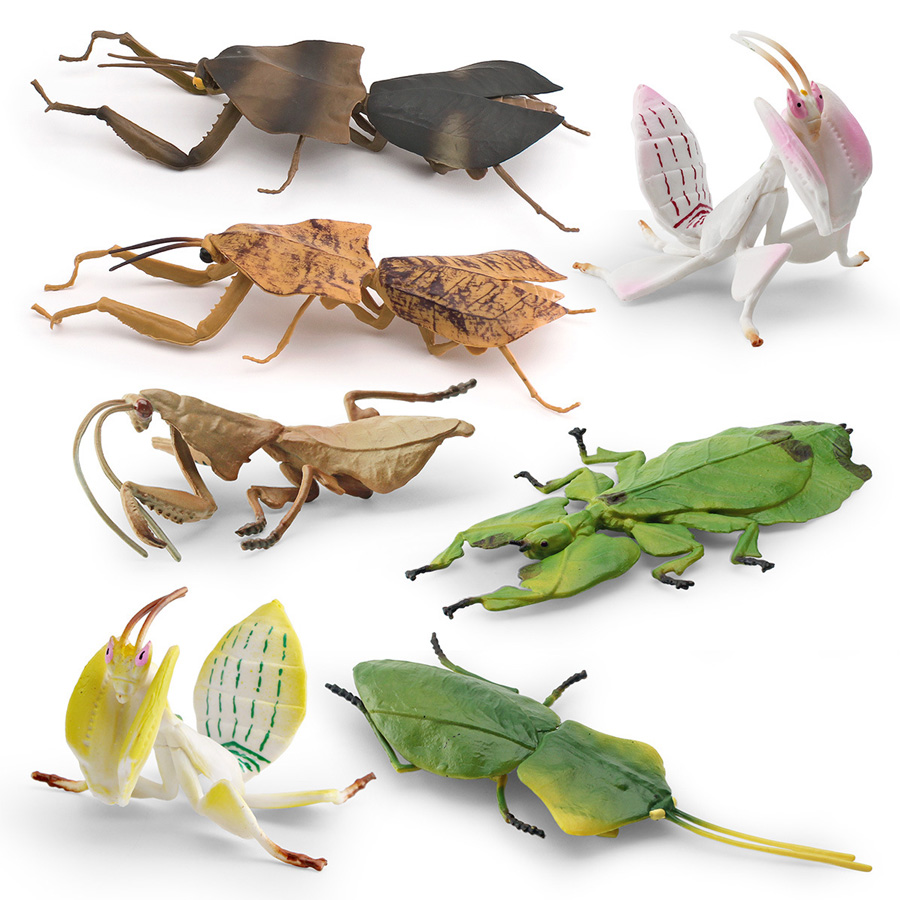Realistic Orchid Mantis Dead L - đánh giá và giá Kids No Education